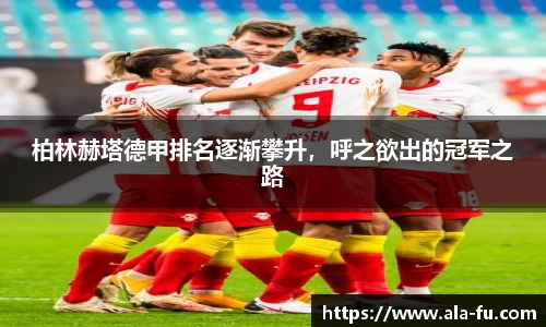 yy易游体育