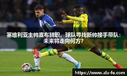 yy体育