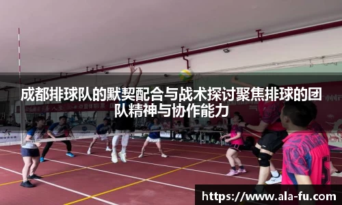 易游体育