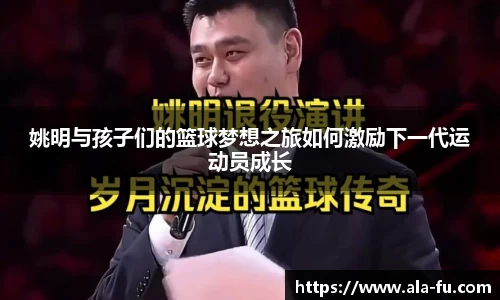 yy体育
