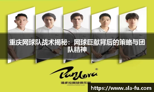 yy易游
