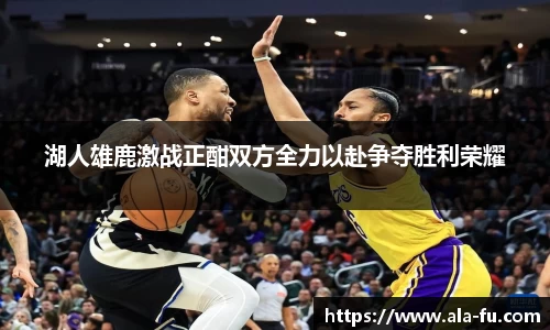 yy体育