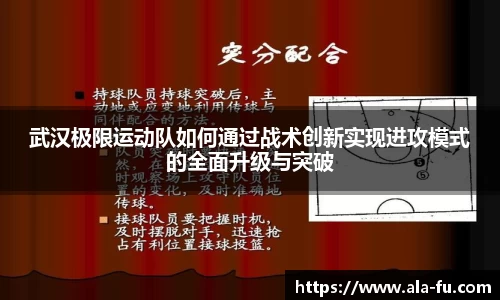 yy体育