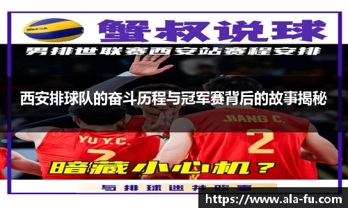 易游体育